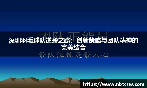 深圳羽毛球队逆袭之路：创新策略与团队精神的完美结合